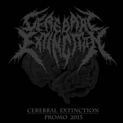 Cerebral Extinction : Promo 2013